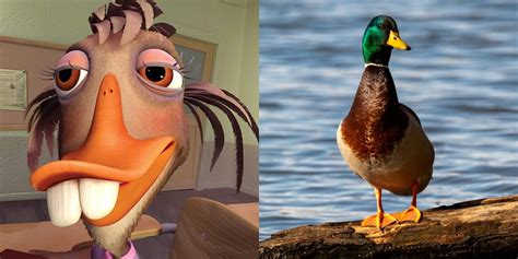 pato chicken little|Abby Mallard 